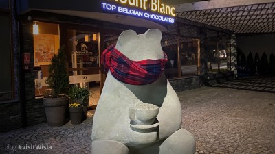 Niedźwiadek przy Mount Blanc w trakcie pandemii nosił maseczkę