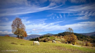 Cieńków i białe konie - iedalne miejsce na sesję zdjęciową w Wiśle.