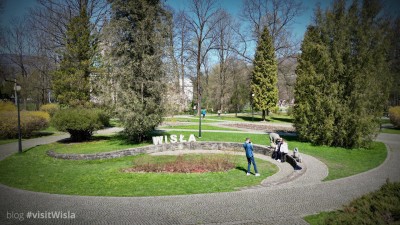 Wiślańskie niedźwiadki są na wiskości pocztówek w Wiśle