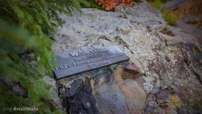 Wantule przy źródłach Białej Wisełki